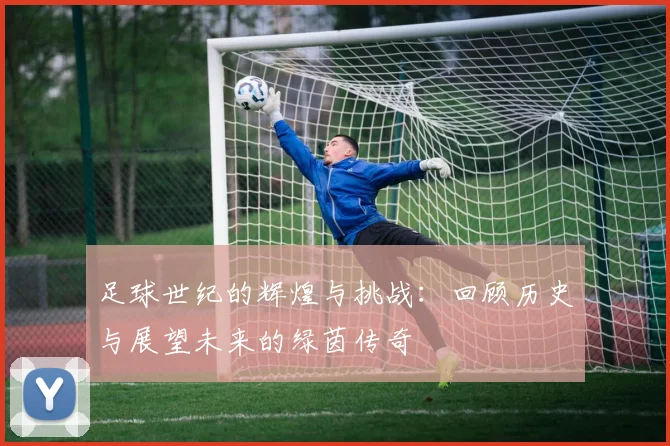 足球世纪的辉煌与挑战：回顾历史与展望未来的绿茵传奇