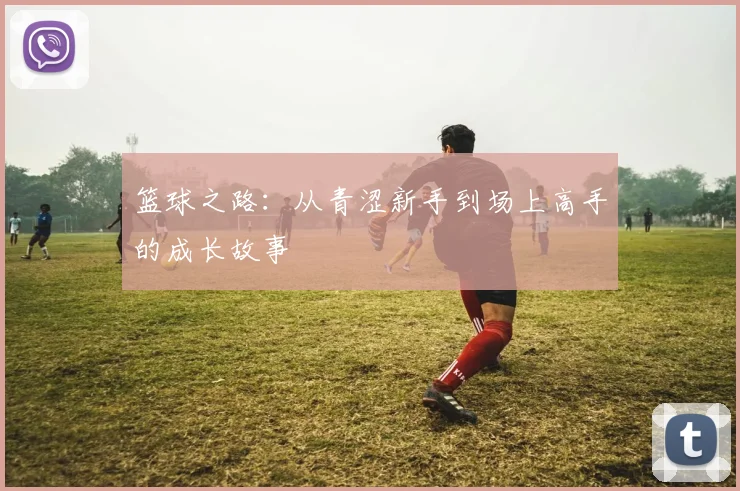 篮球之路：从青涩新手到场上高手的成长故事