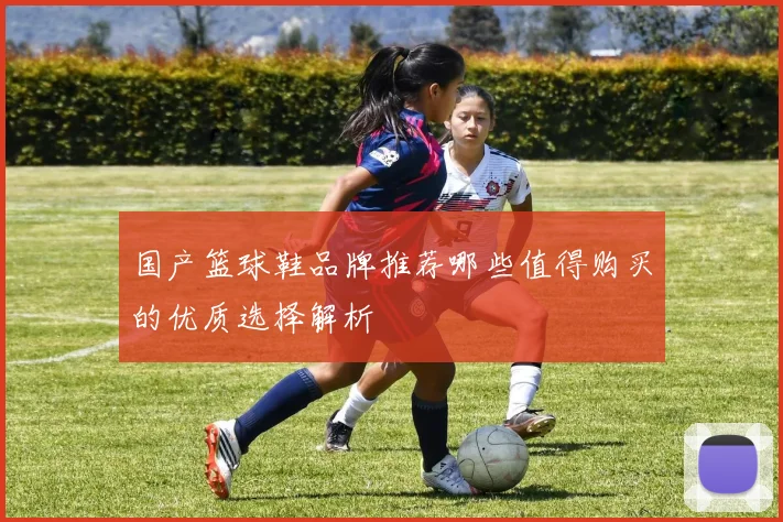 国产篮球鞋品牌推荐哪些值得购买的优质选择解析