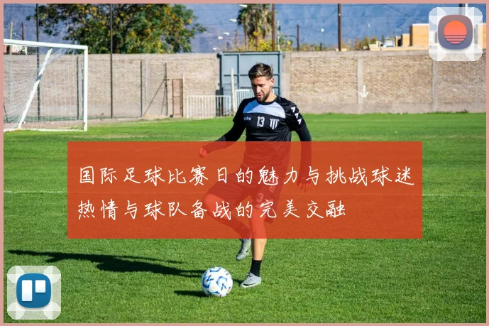 国际足球比赛日的魅力与挑战球迷热情与球队备战的完美交融